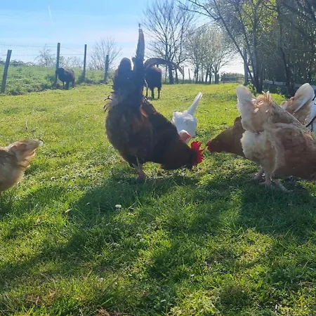 La Petite דירה Mauleon